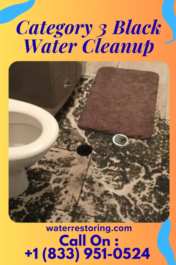 Category 3 Black Water Cleanup in West Point, UT