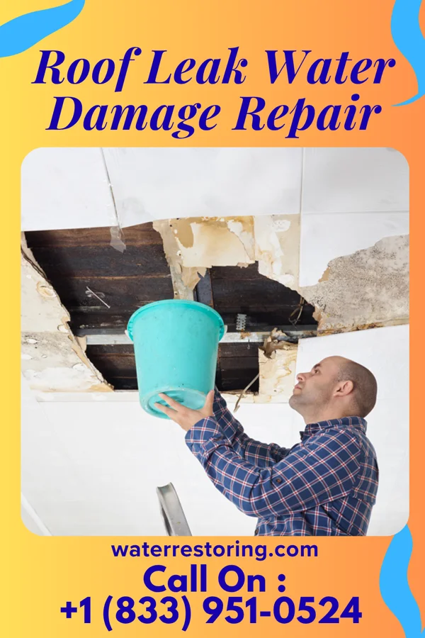 Roof Leak Water Damage Repair in West Point, UT